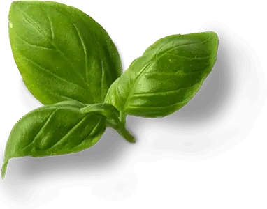 Miracle Taste Food Truck & Catering