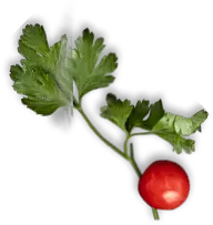 Miracle Taste Food Truck & Catering