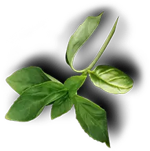 Miracle Taste Food Truck & Catering