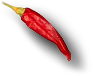 Miracle Taste Food Truck & Catering