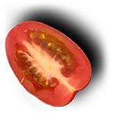 Miracle Taste Food Truck & Catering